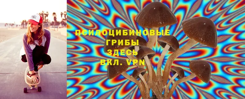 Галлюциногенные грибы Magic Shrooms  цена наркотик  Чкаловск 